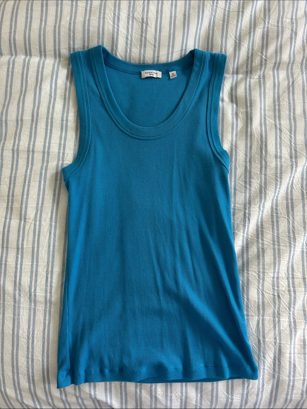 Aritzia Busy Tank